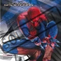spiderman-3v1-6493.jpg