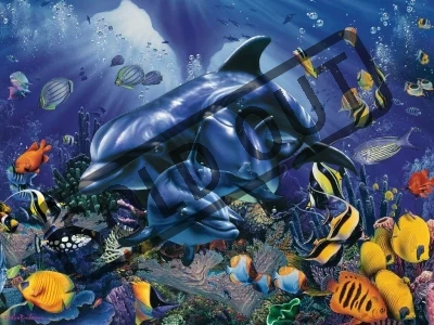 Puzzle RAVENSBURGER 500 dílků - Barvy korálového útesu