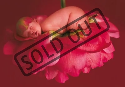 Puzzle | Anne Geddes, Chelsey