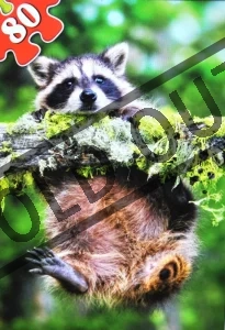 Dětské puzzle 80 dílků - Medvídek mýval
