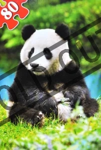 Dětské puzzle 80 dílků - Panda