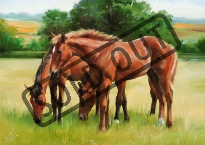 Puzzle RAVENSBURGER 1500 dílků - Pasoucí se koně
