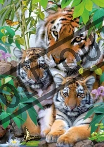 Puzzle RAVENSBURGER 1000 dílků - Tygří rodinka