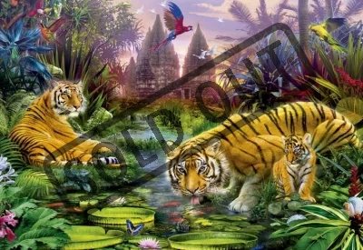 Puzzle EDUCA 500 dílků - Tygři u řeky