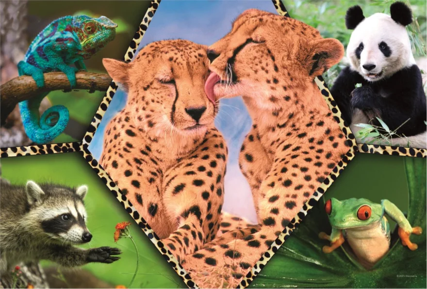 TREFL Puzzle Animal Planet: Krásná příroda 100 dílků