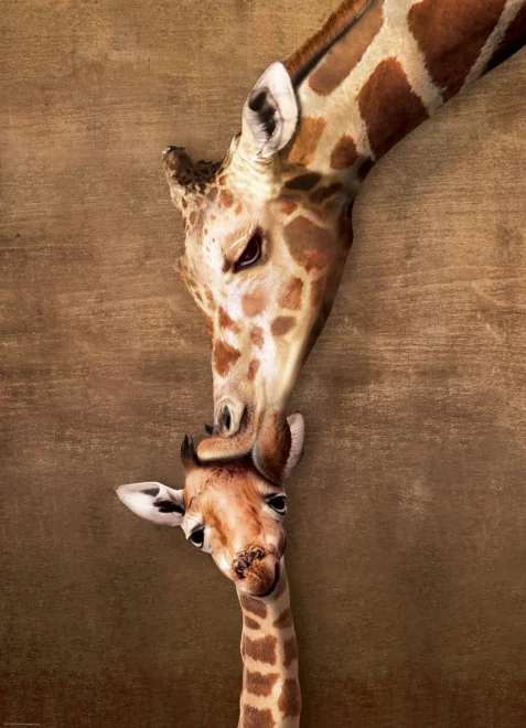 EUROGRAPHICS Puzzle Polibek žirafy 1000 dílků