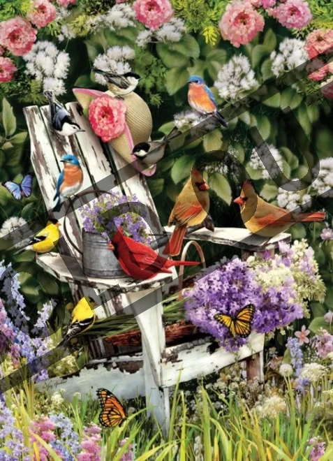 COBBLE HILL Puzzle Ptáci z Adirondackého pohoří v létě 1000 dílků