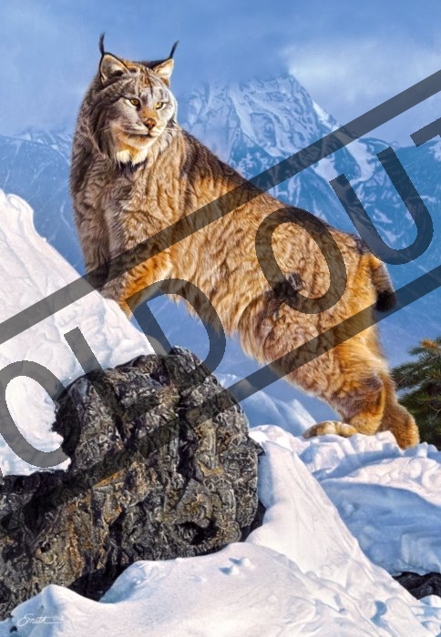 Puzzle Rys CASTORLAND Puzzle Rys ostrovid 1000 dílků | Puzzle-puzzle.cz