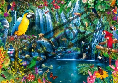 Puzzle Tropičtí papoušci 1000 dílků