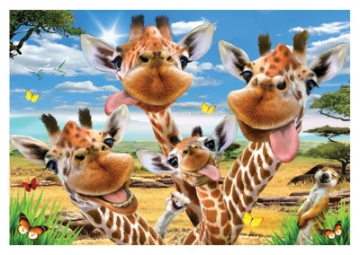Puzzle Žirafí selfie 500 dílků