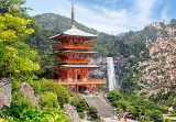 CASTORLAND Puzzle Chrám Seiganto-ji, Japonsko 1000 dílků