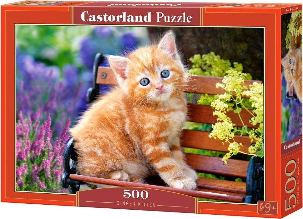 Castorland Zrzavé koťátko 500 dílků