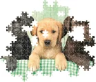 puzzle-tri-labradori-1000-dilku-232701.jpg