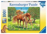 puzzle-kone-na-pastvine-xxl-100-dilku-29575.jpg