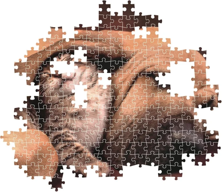 CLEMENTONI Puzzle Tulení 500 dílků