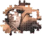 CLEMENTONI Puzzle Tulení 500 dílků