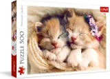 TREFL Puzzle Spící koťata 500 dílků