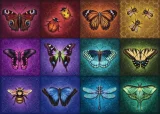 Puzzle Ravensburger 1000 dílků Okřídlené věci