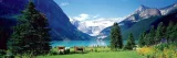 panoramaticke-puzzle-jezero-louise-canadian-rockies-1000-dilku-140383.jpg