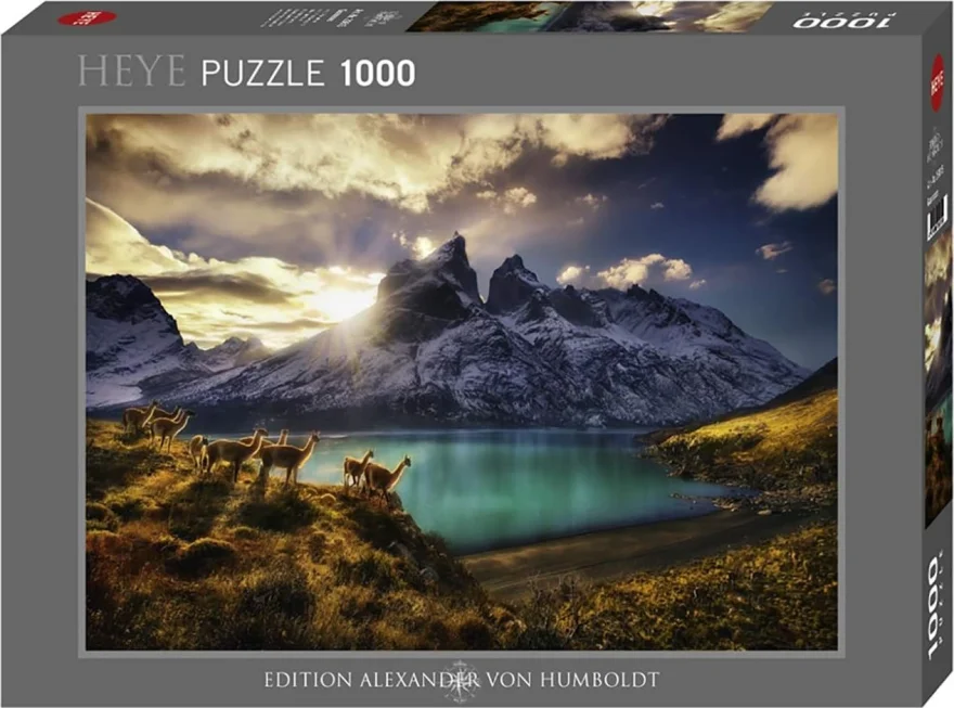 Heye Puzzle Lamy guanako 1000 dílků
