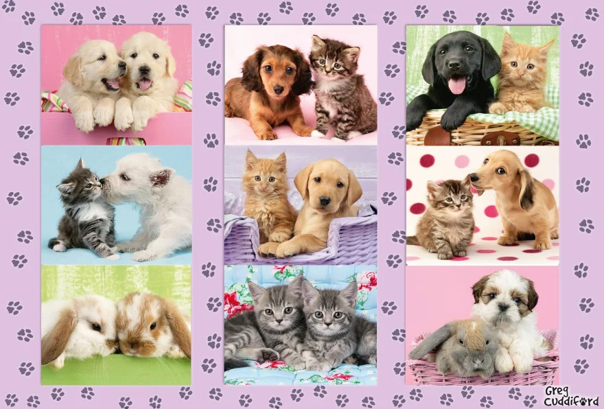 SCHMIDT Puzzle Moji zvířecí přátelé 100 dílků