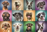 TREFL Puzzle Veselé psí portréty 1000 dílků