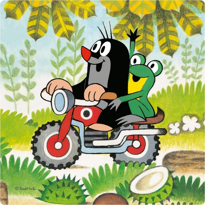 DINO Baby puzzle Krtek na louce 3v1 (3,4,5 dílků)