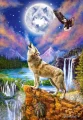 CASTORLAND Puzzle Vlčí noc 1500 dílků