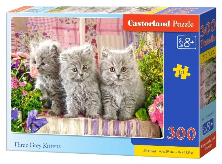 CASTORLAND Puzzle Tři šedivá koťata 300 dílků