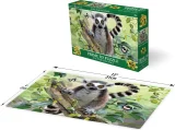 Puzzle s 3D efektem Prime 3D 100 dílků Lemur kata