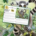 Puzzle s 3D efektem Prime 3D 100 dílků Lemur kata