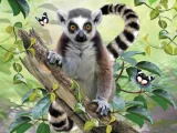 Puzzle s 3D efektem Prime 3D 100 dílků Lemur kata