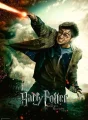 Ravensburger Puzzle Harry Potter a relikvie smrti XXL 100 dílků