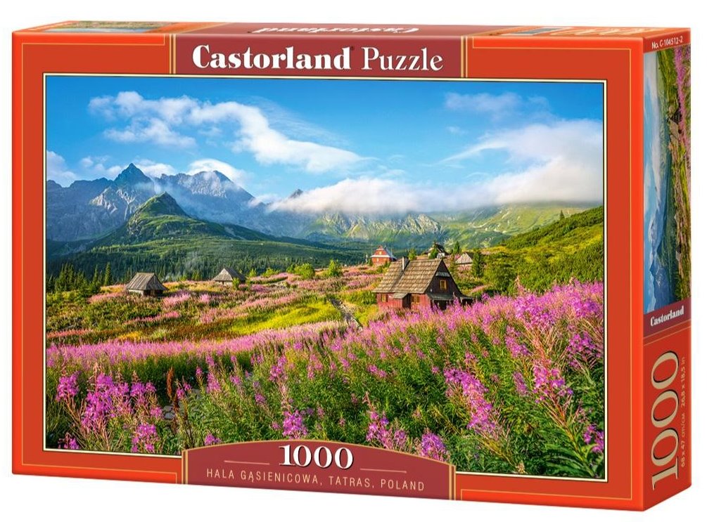 CASTORLAND Puzzle Dolina Gąsienicowa, Tatry 1000 dílků
