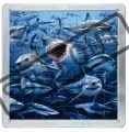 PIATNIK Magna 3D puzzle: Žraloci 64 dílků