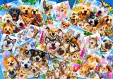 Bluebird Puzzle Koláž zvířecích selfie 1000 dílků