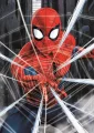 puzzle-spiderman-500-dilku-119570.jpg