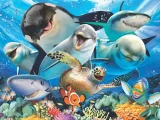 Puzzle s 3D efektem Prime 3D 63 dílků Podvodní selfie