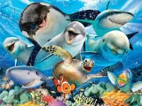 Puzzle s 3D efektem Prime 3D 63 dílků Podvodní selfie
