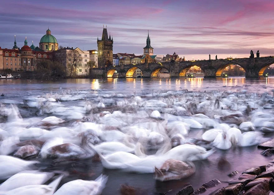 Schmidt Puzzle Praha: Labutě na břehu Vltavy 1000 dílků