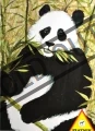 PIATNIK Panda