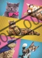 TREFL Puzzle Legrační kočky 500 dílků