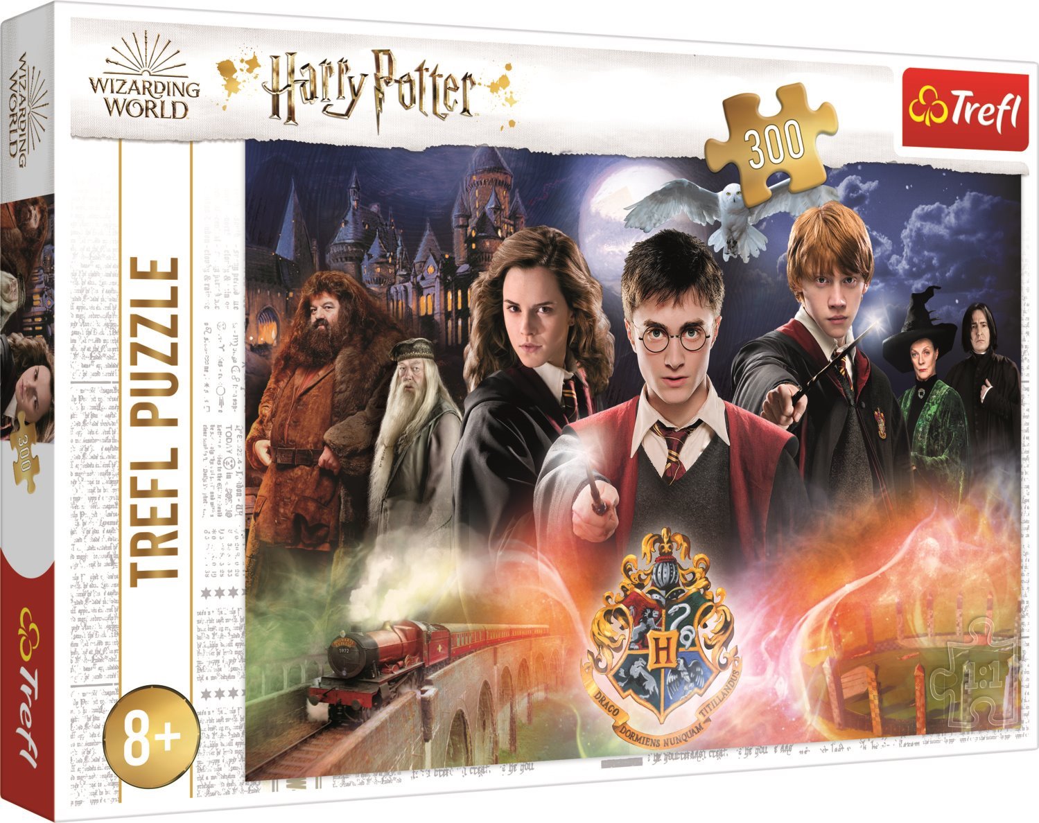 TREFL Puzzle Tajemný Harry Potter 300 dílků