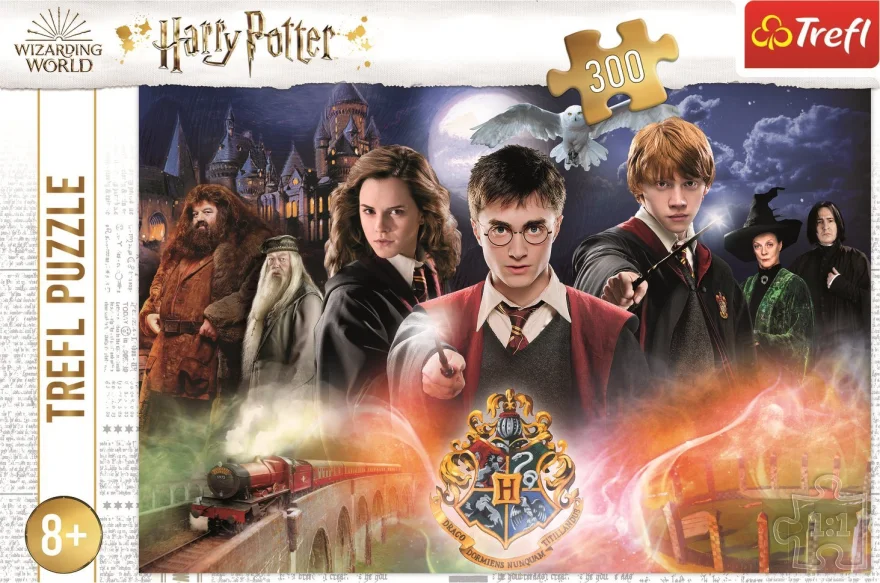 TREFL Puzzle Tajemný Harry Potter 300 dílků