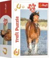 Trefl Puzzle Svět koní: Osvěžení v řece 54 dílků