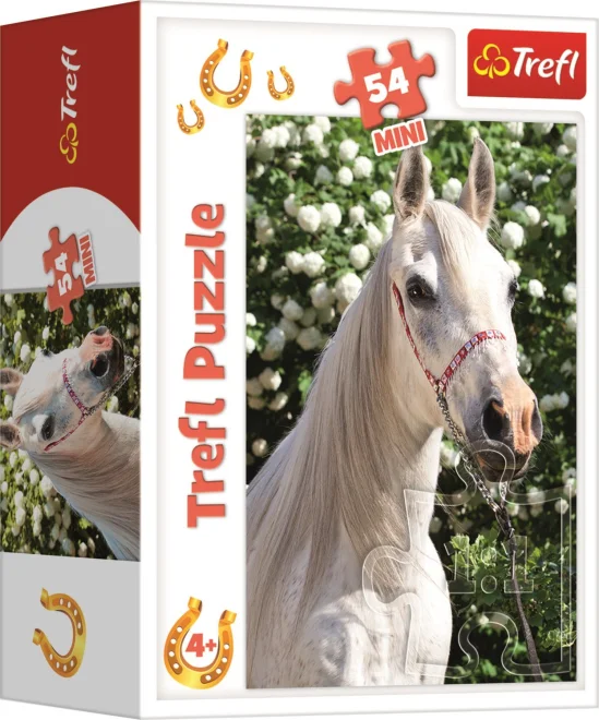 Trefl Puzzle Svět koní: Portrét bělouše 54 dílků
