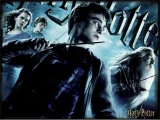 Puzzle s 3D efektem Prime 3D 300 dílků Harry Potter: Nebelvír