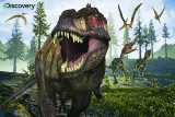 puzzle-discovery-tyrannosaurus-rex-3d-150-dilku-144848.jpg