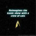 puzzle-star-trek-cats-1000-dilku-145402.jpg