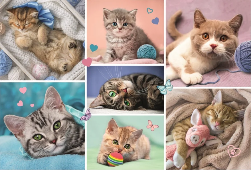 TREFL Puzzle V kočičím světě 100 dílků